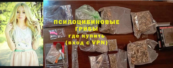 гидра Волоколамск